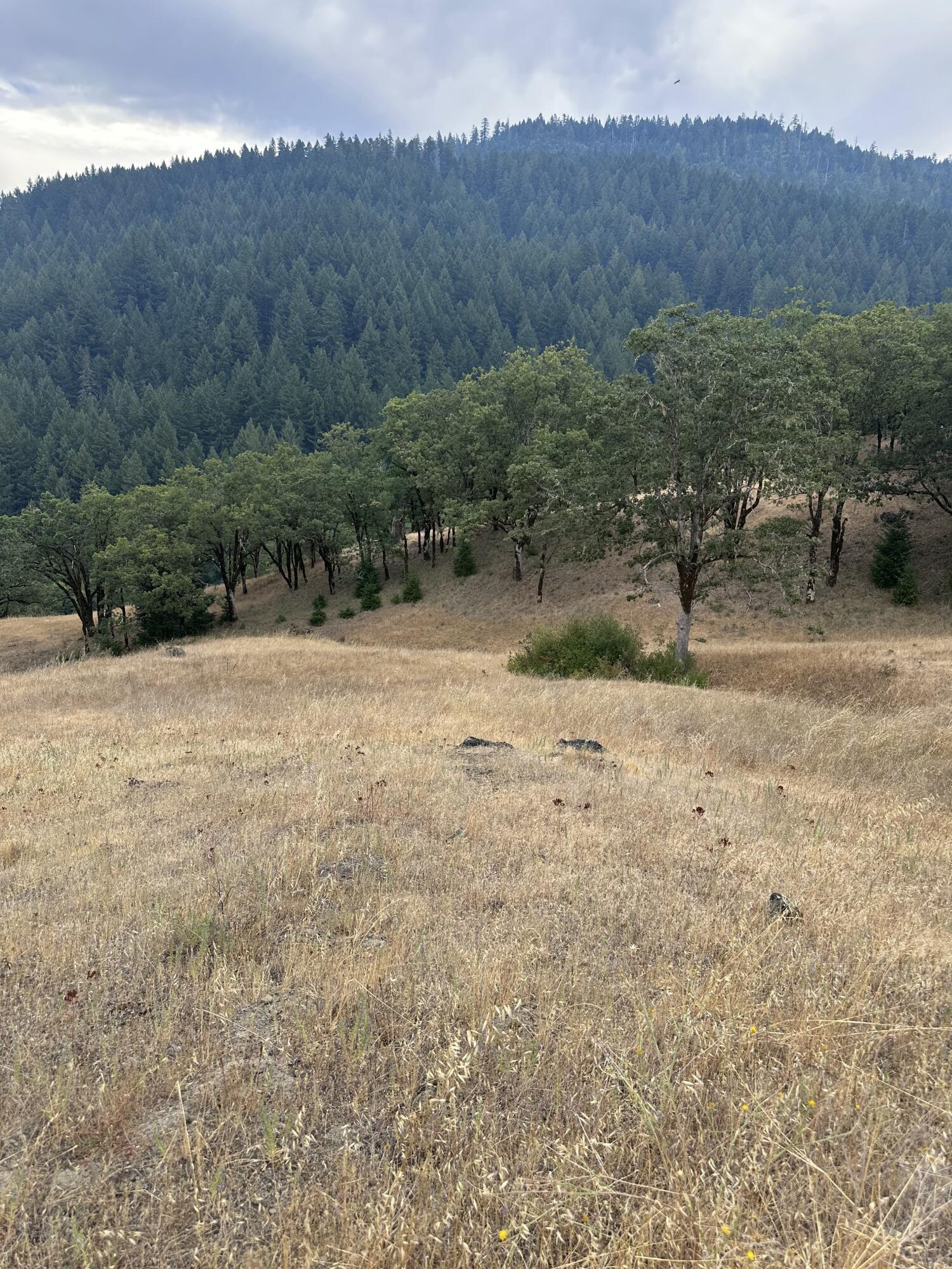 0 River Road Miranda, CA 95553 - Photo 18 of 31