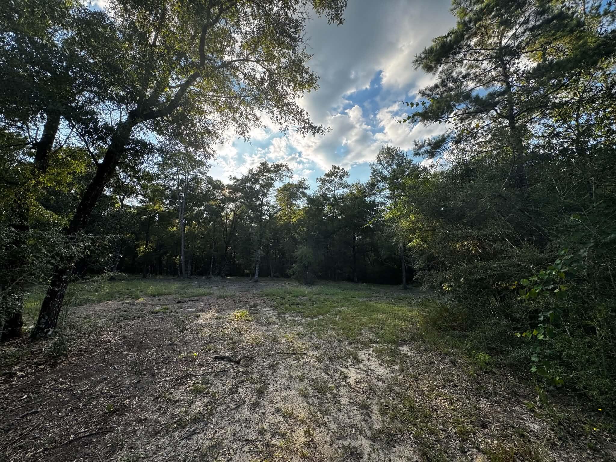 2.24-acres Woolley Road Crestview, FL 32539 - Photo 2 of 6 2