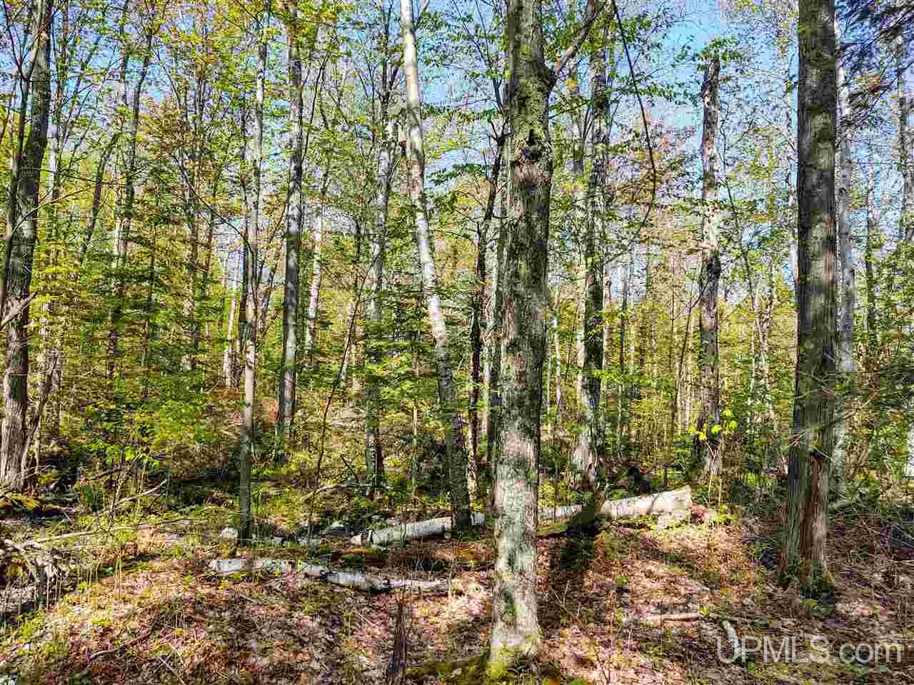 Tbd-parcel Point Abbaye Road Lanse, MI 49946 - Photo 24 of 26