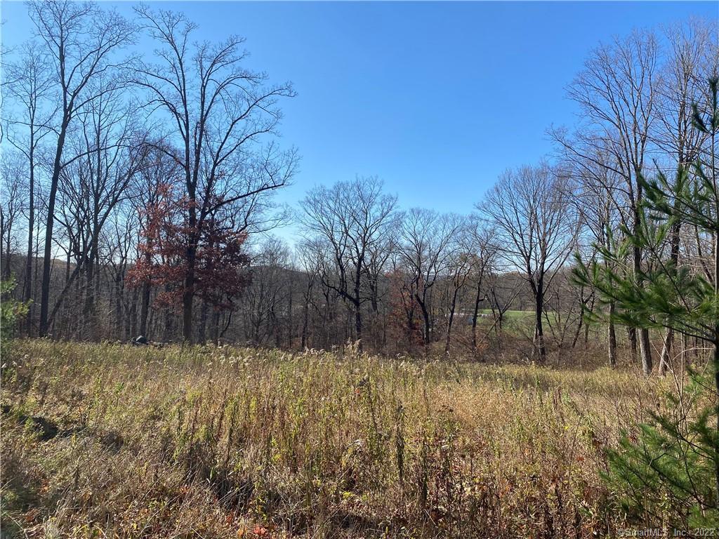15 Stone Hill Road Cornwall, CT 06796 - Photo 1 of 1 Gallery Image 1