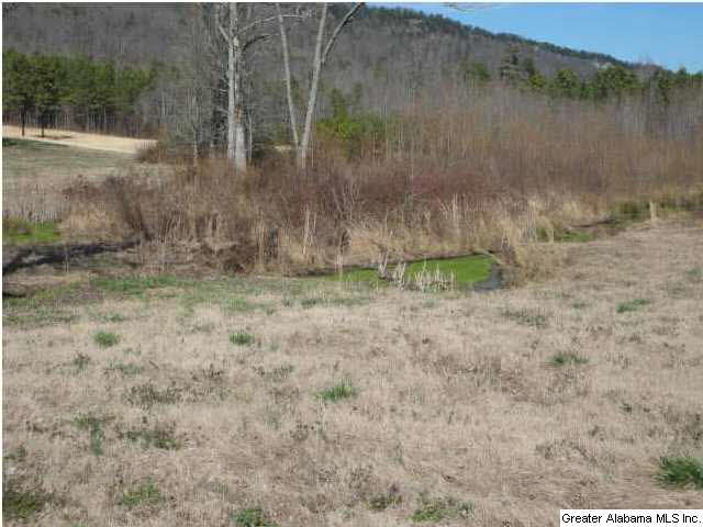 12962 Gallant Road Gallant, AL 35972 - Photo 26 of 32
