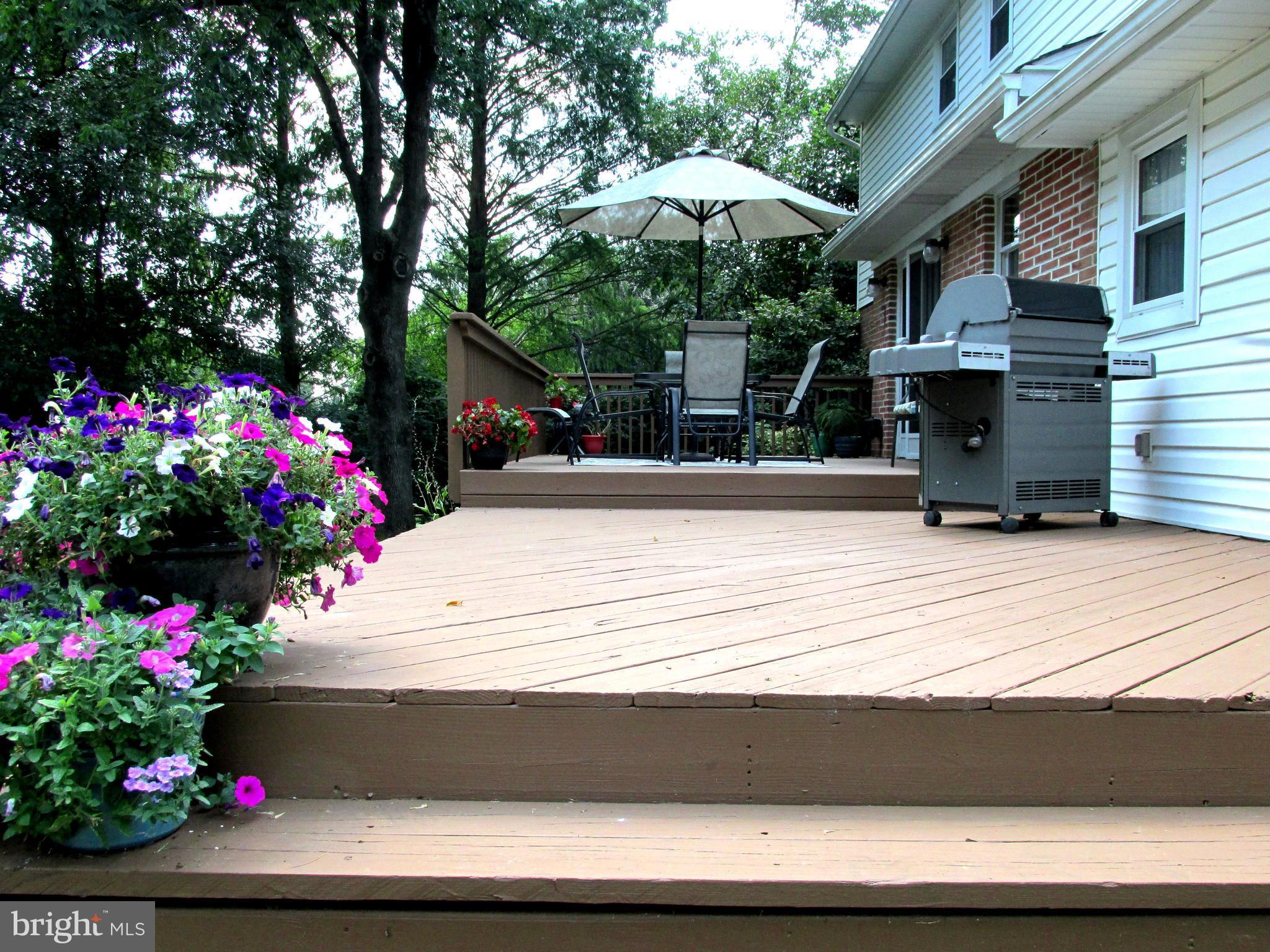 1508 Overhill Road West Chester, PA 19382 - Photo 54 of 59 Decking