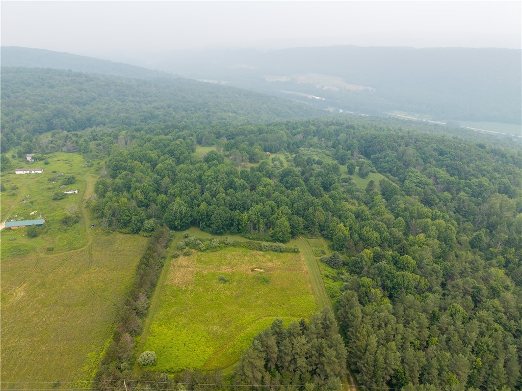 2571 Delude Road Dalton, NY 14836 - Photo 23 of 48