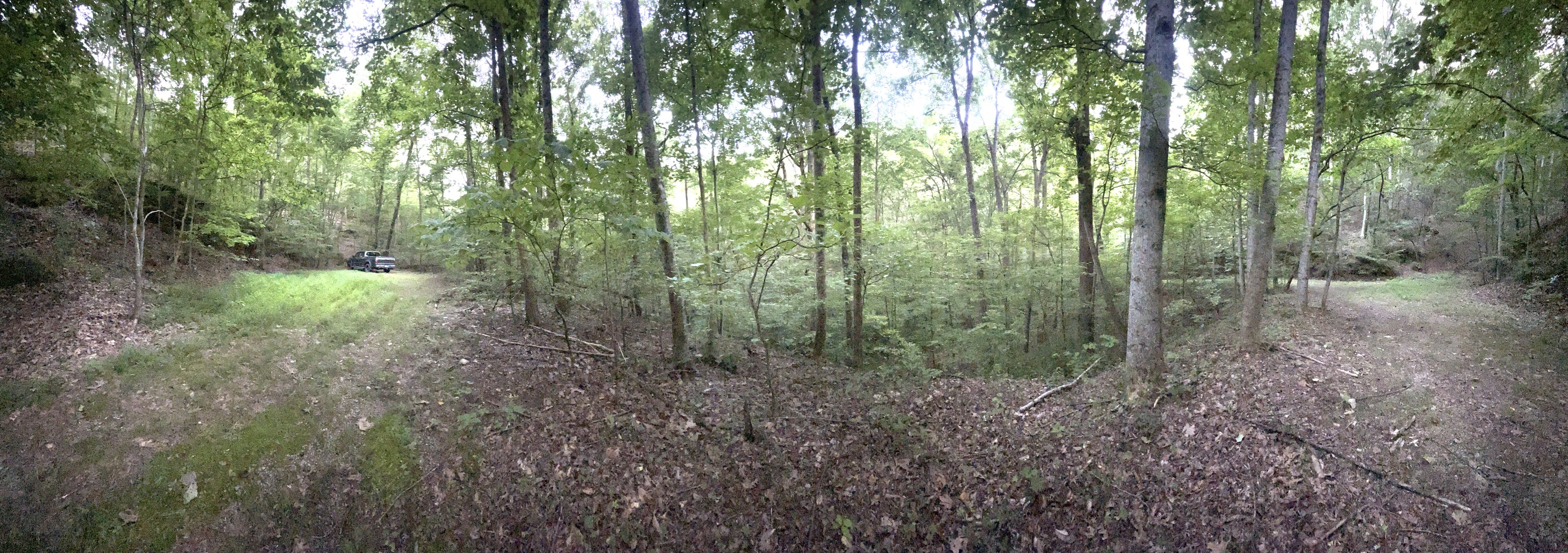 665 Sanford Court Ranger, GA 30734 - Photo 5 of 12 a view of a forest that has large trees