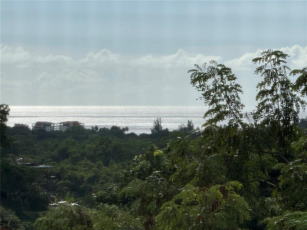 411 Bo Calvache Rincon, PR 00677 - Photo 7 of 14 a view of ocean with a building