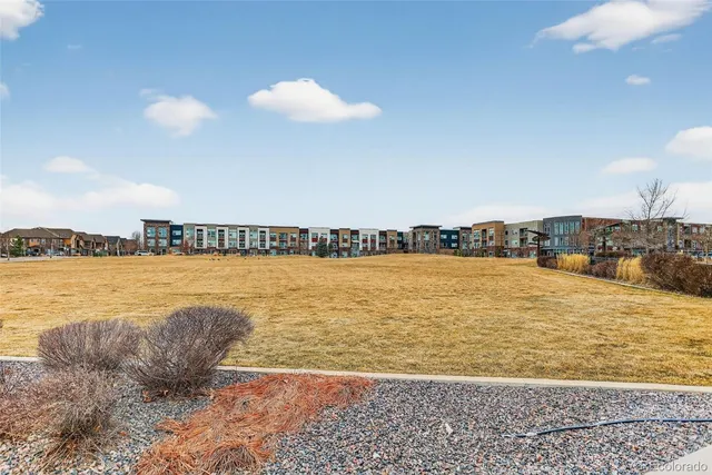 a view of a lake in middle of the field