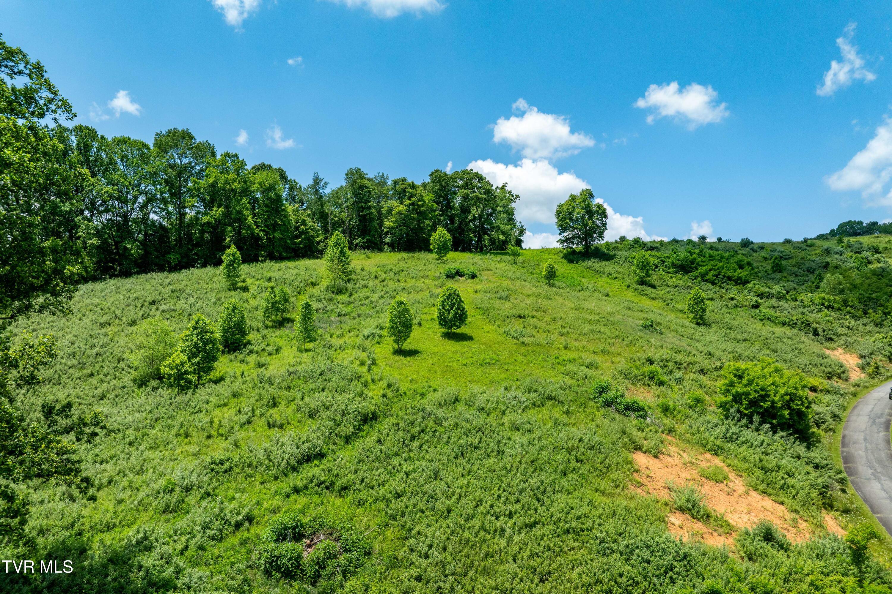 Tbd Ridgeview Drive, Unit 8 9 AND 10 Mountain City, TN 37683 - Photo 29 of 43 TBD Ridgeview Dr (28 of 43)