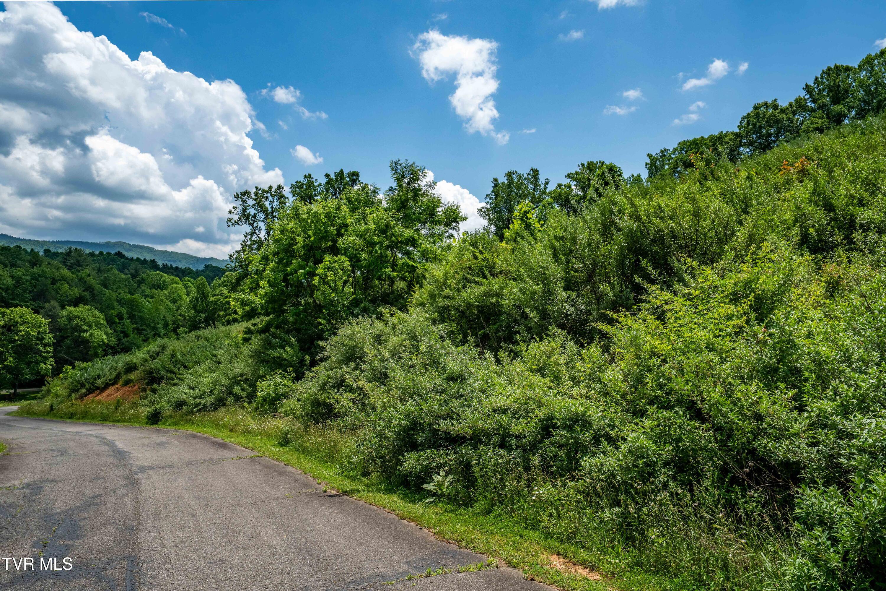 Tbd Ridgeview Drive, Unit 8 9 AND 10 Mountain City, TN 37683 - Photo 30 of 43 TBD Ridgeview Dr (29 of 43)