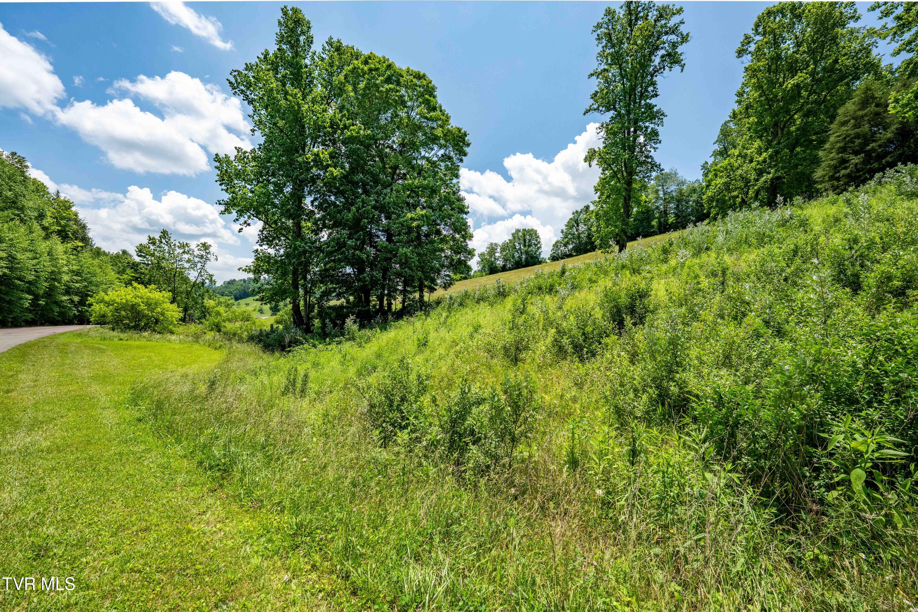 Tbd Ridgeview Drive, Unit 8 9 AND 10 Mountain City, TN 37683 - Photo 3 of 43 TBD Ridgeview Dr (36 of 43)