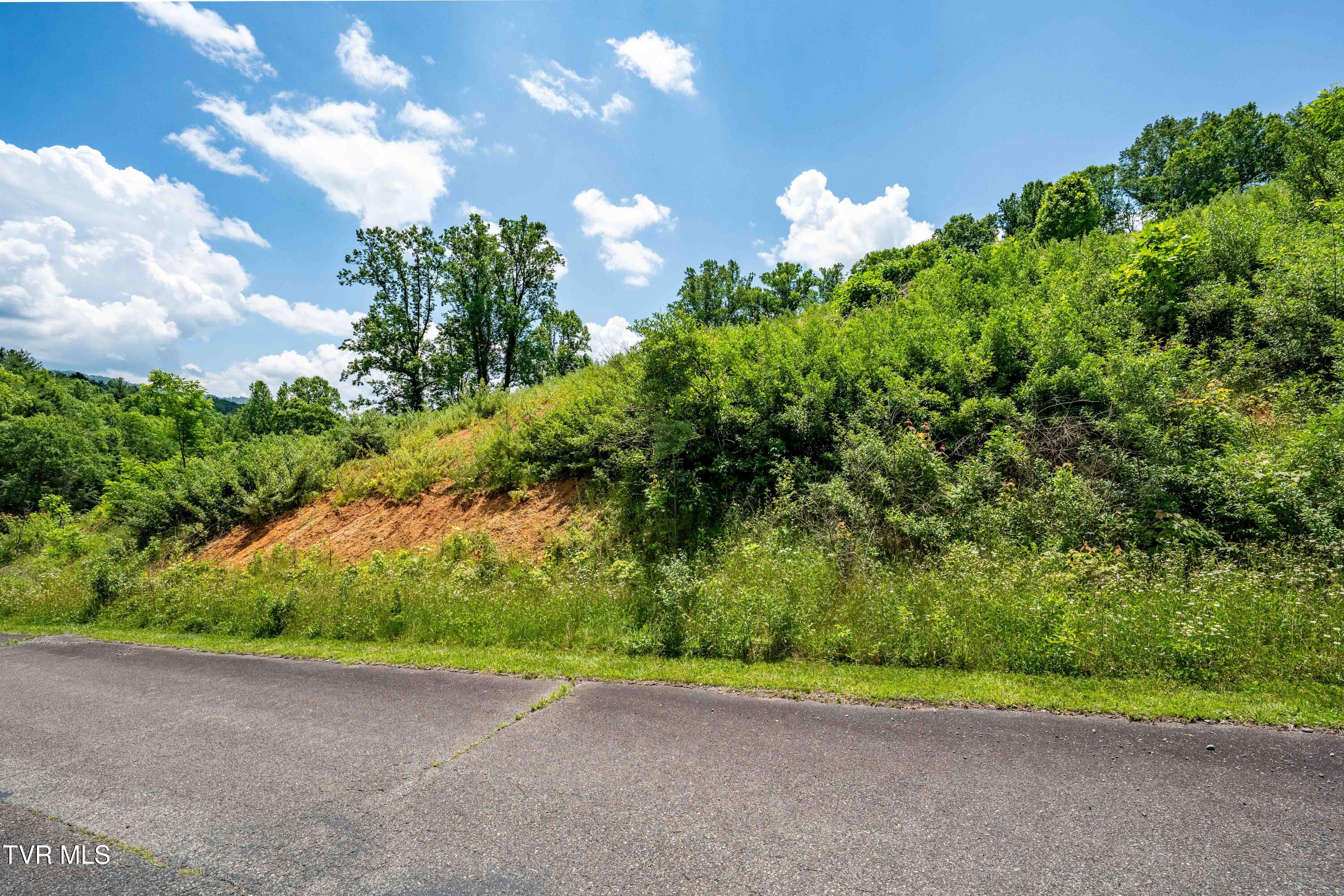 Tbd Ridgeview Drive, Unit 8 9 AND 10 Mountain City, TN 37683 - Photo 31 of 43 TBD Ridgeview Dr (30 of 43)