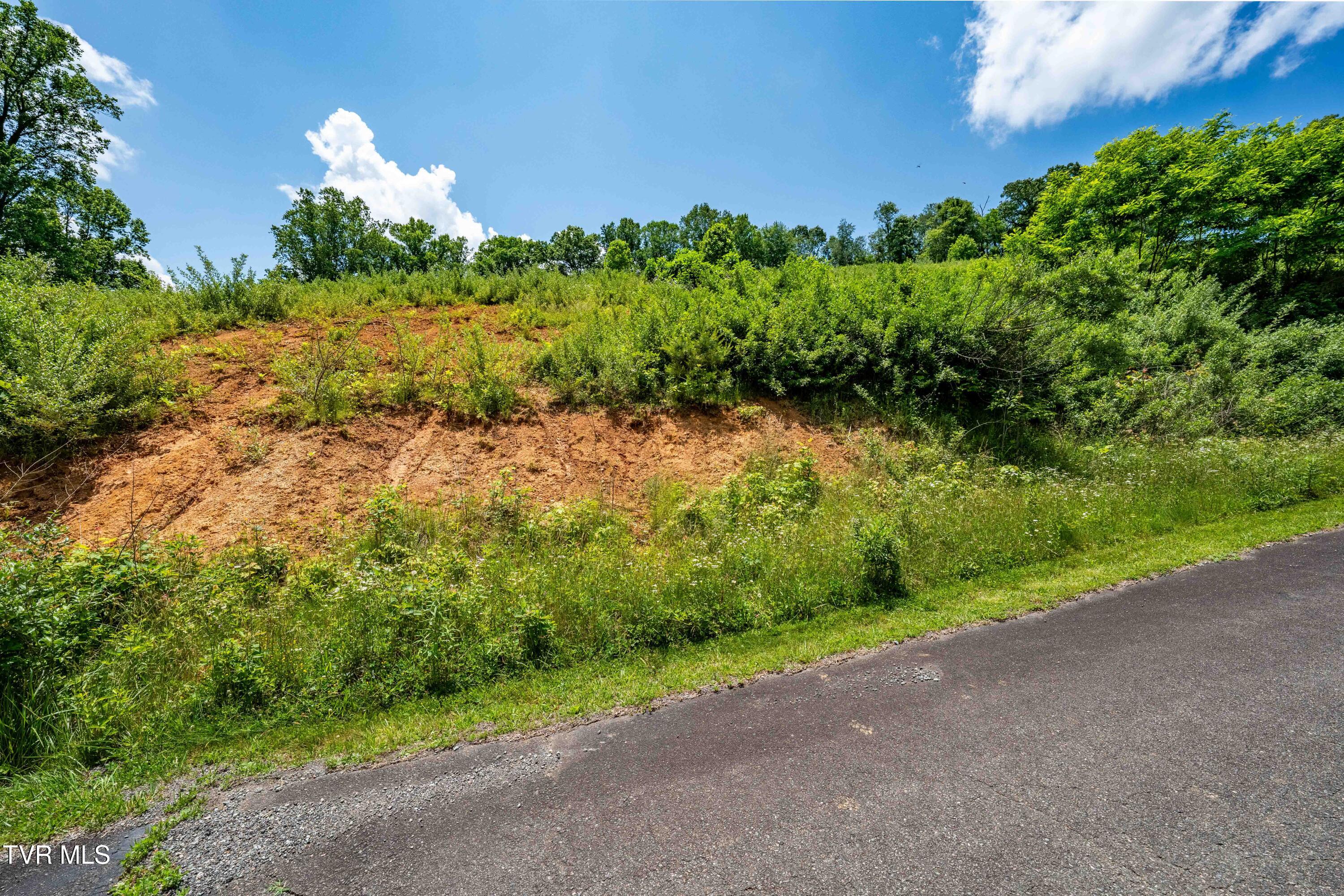 Tbd Ridgeview Drive, Unit 8 9 AND 10 Mountain City, TN 37683 - Photo 32 of 43 TBD Ridgeview Dr (31 of 43)