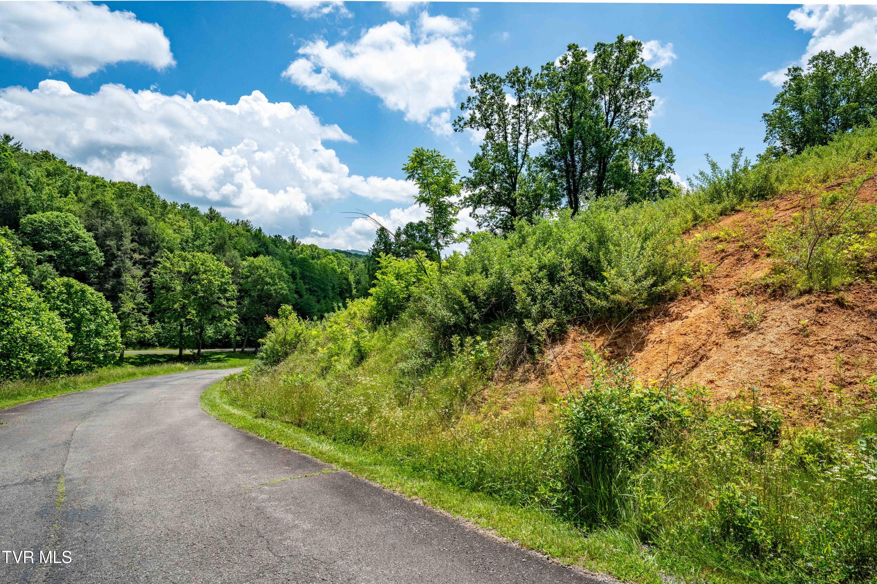 Tbd Ridgeview Drive, Unit 8 9 AND 10 Mountain City, TN 37683 - Photo 33 of 43 TBD Ridgeview Dr (32 of 43)