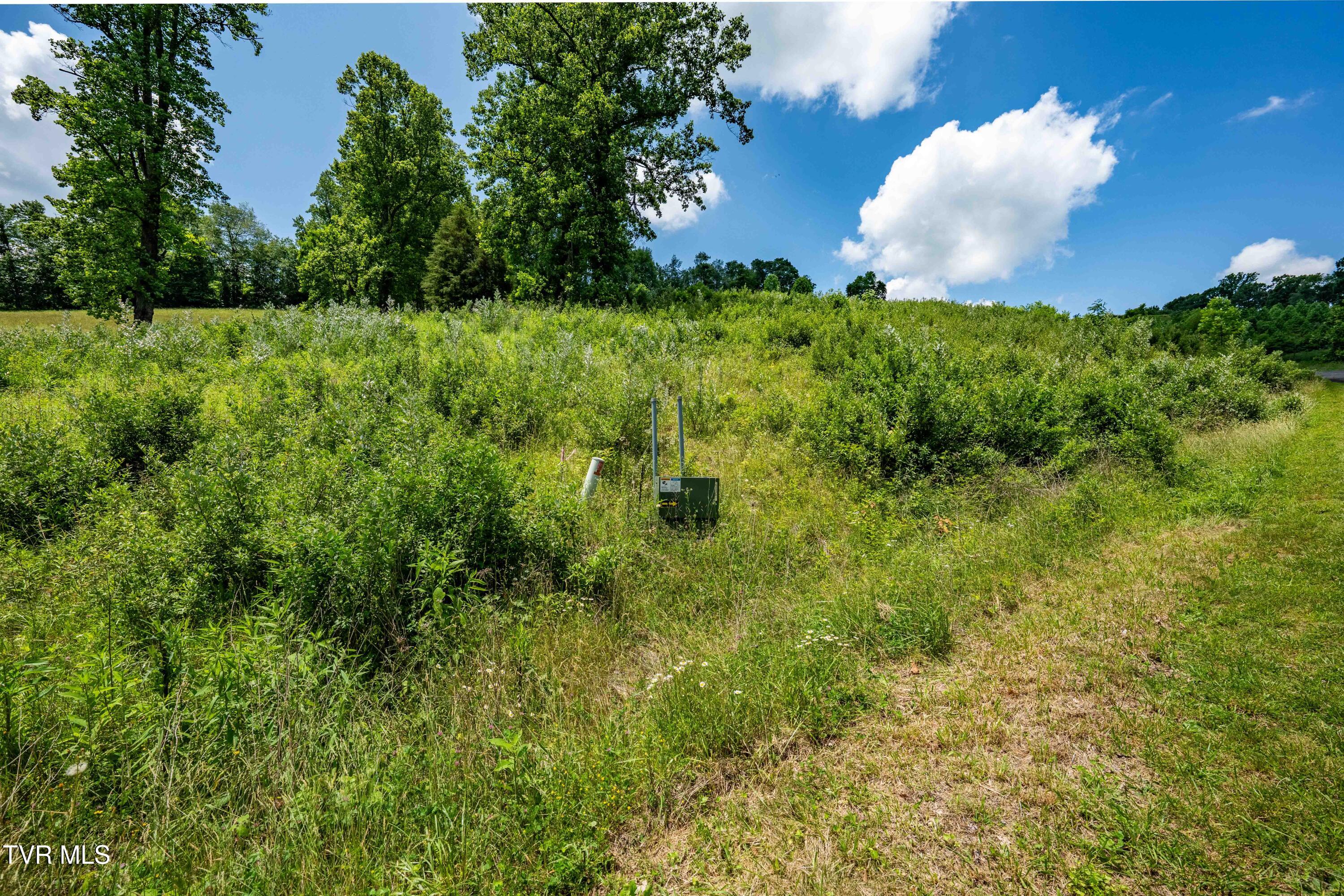 Tbd Ridgeview Drive, Unit 8 9 AND 10 Mountain City, TN 37683 - Photo 36 of 43 TBD Ridgeview Dr (35 of 43)