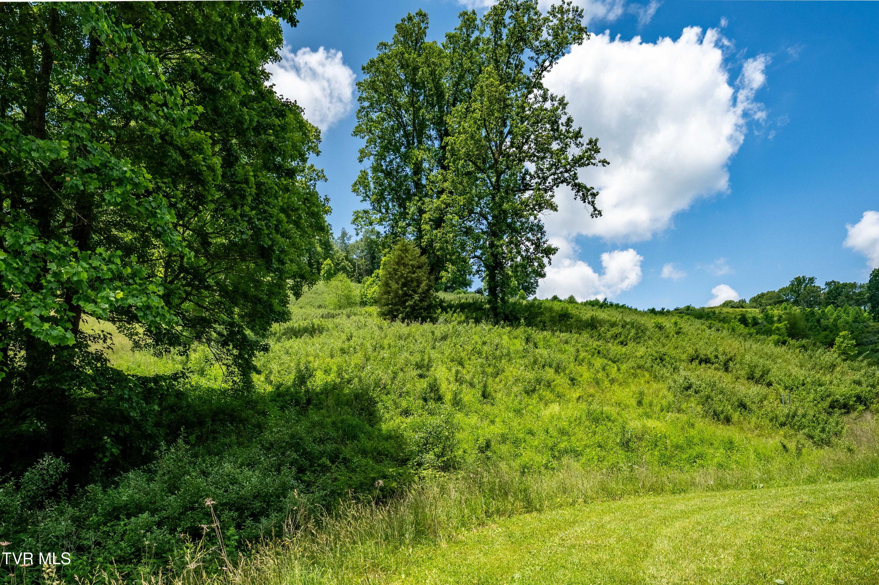 Tbd Ridgeview Drive, Unit 8 9 AND 10 Mountain City, TN 37683 - Photo 38 of 43 TBD Ridgeview Dr (38 of 43)