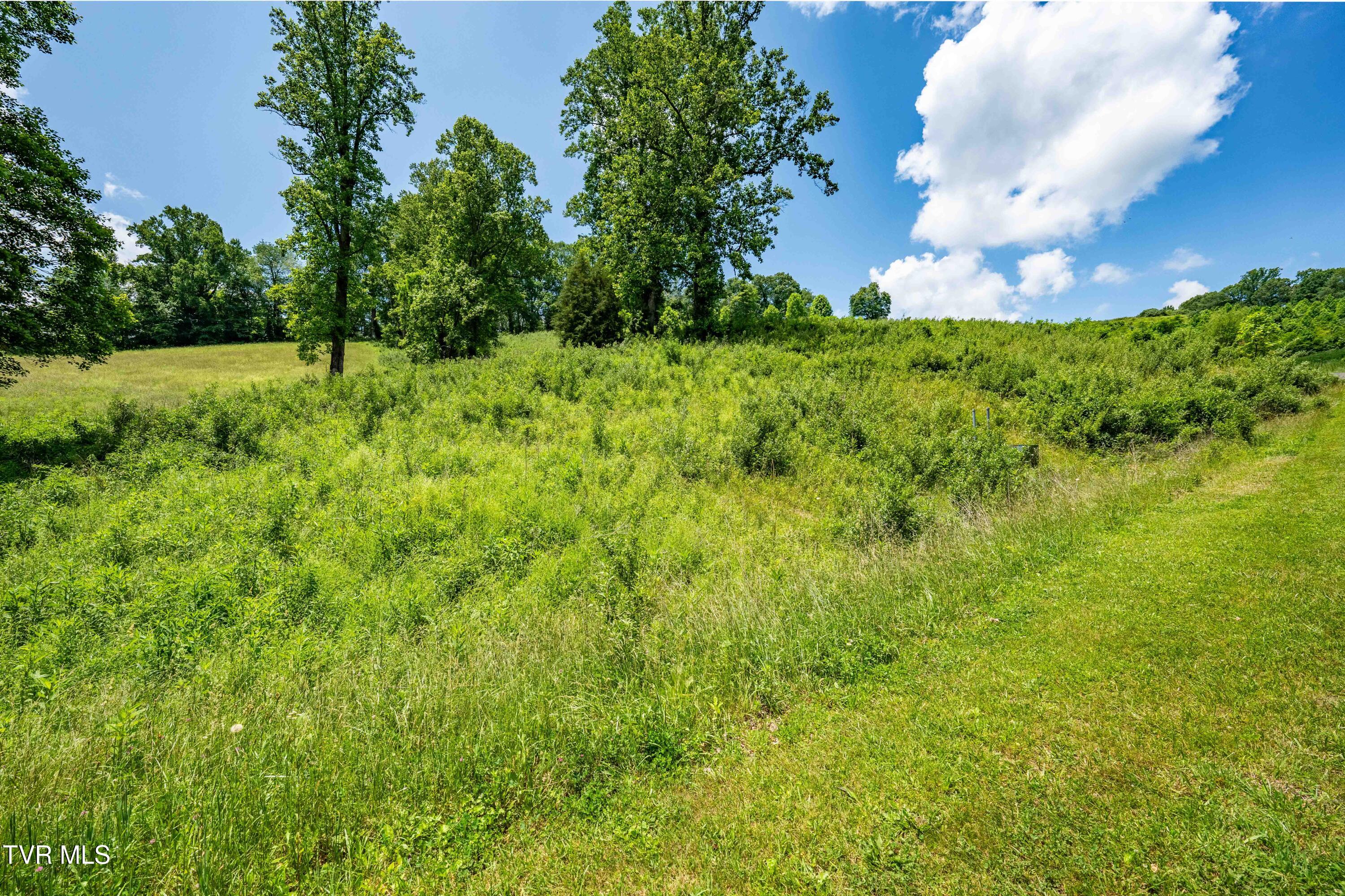 Tbd Ridgeview Drive, Unit 8 9 AND 10 Mountain City, TN 37683 - Photo 39 of 43 TBD Ridgeview Dr (39 of 43)