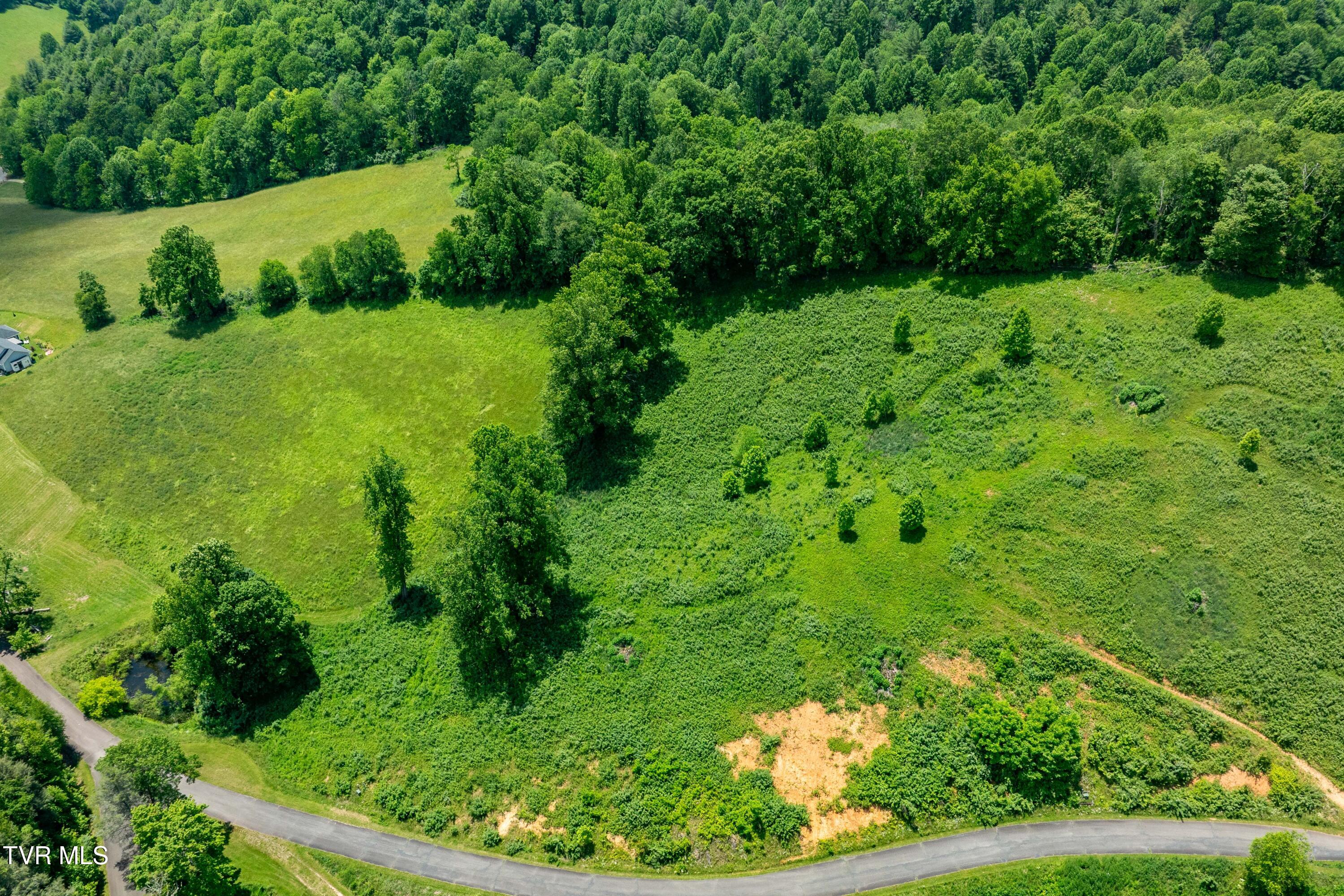 Tbd Ridgeview Drive, Unit 8 9 AND 10 Mountain City, TN 37683 - Photo 4 of 43 TBD Ridgeview Dr (17 of 43)