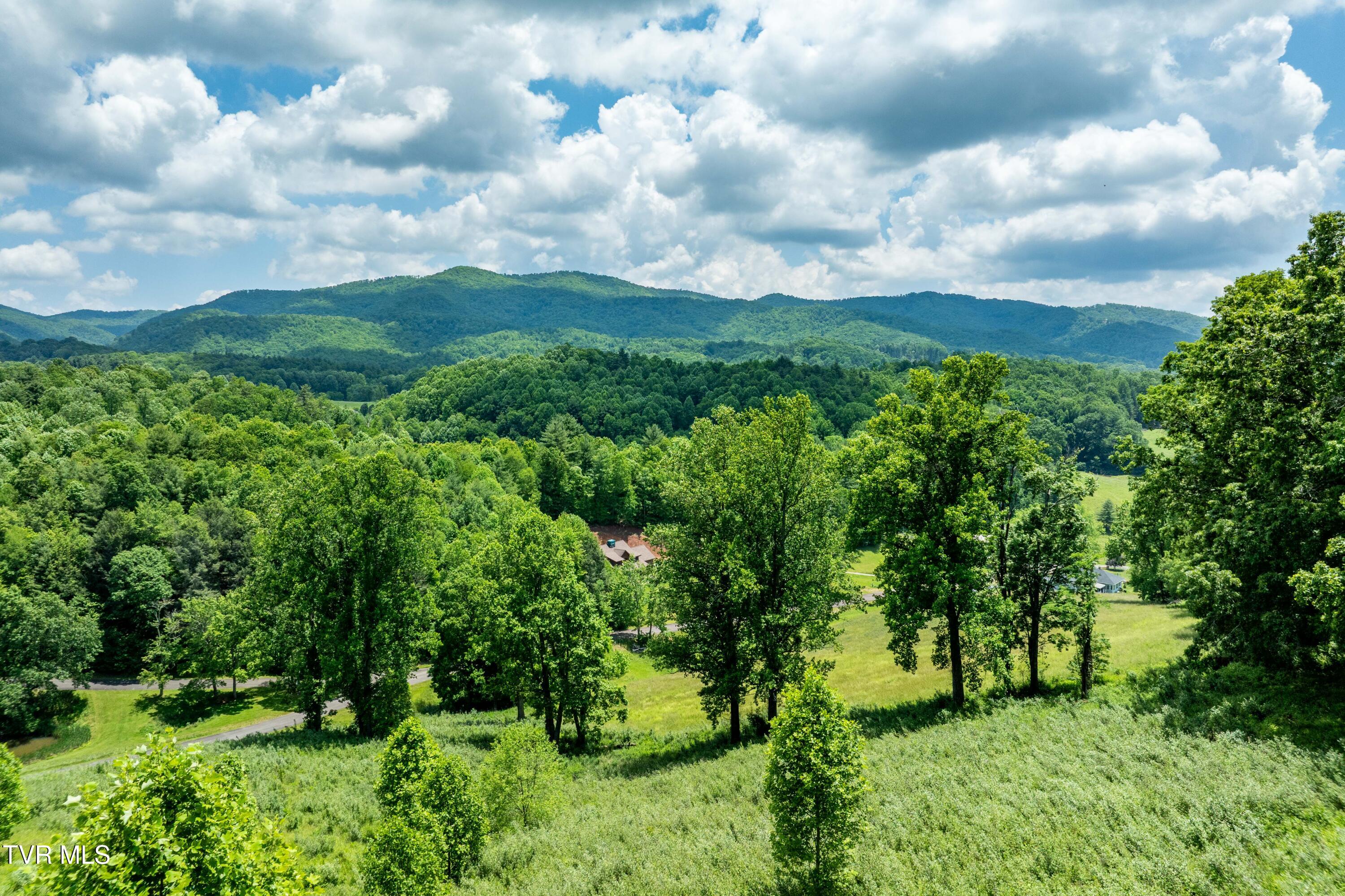 Tbd Ridgeview Drive, Unit 8 9 AND 10 Mountain City, TN 37683 - Photo 5 of 43 TBD Ridgeview Dr (21 of 43)