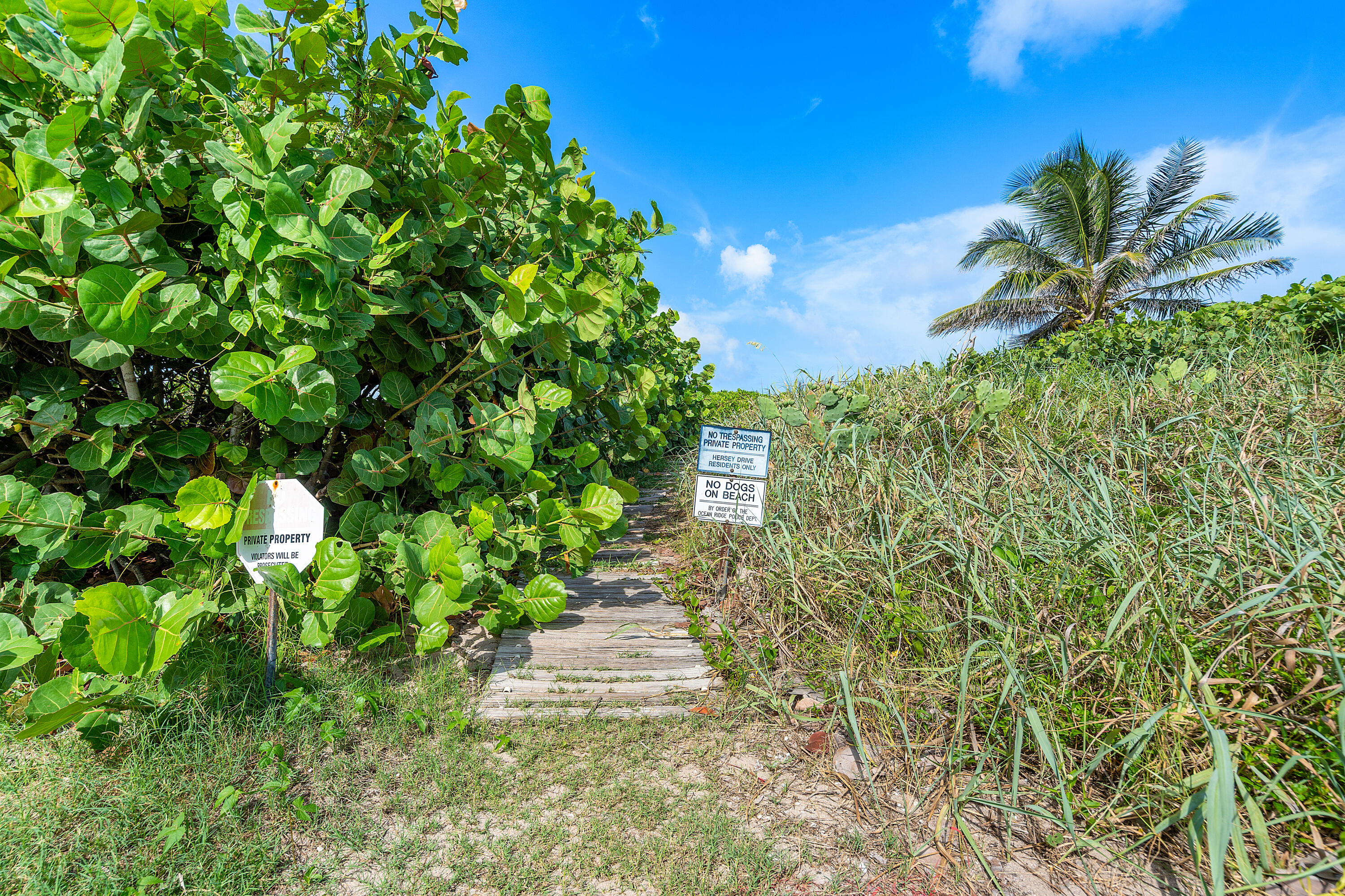 30 Hersey Drive Ocean Ridge, FL 33435 - Photo 29 of 37 037-30HerseyDrive-BoyntonBeach-FL-33435-