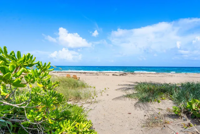 a view of a lake with a beach