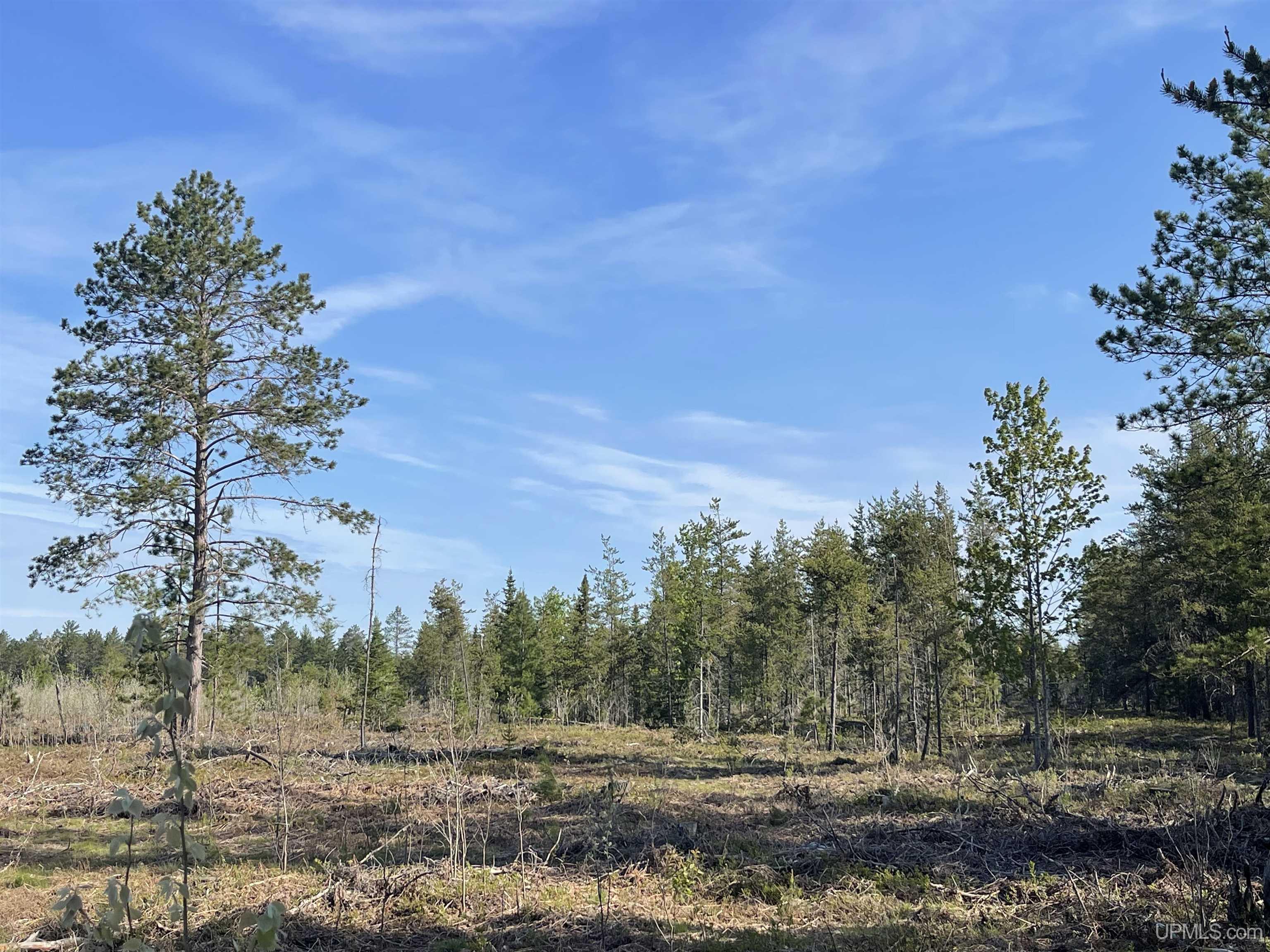 Tbd Tbd Hay Meadow Road Manistique, MI 49854 - Photo 37 of 51
