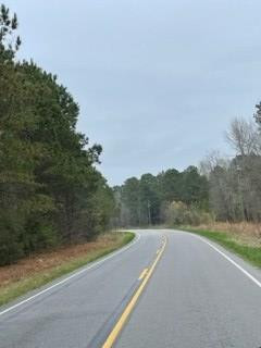 1406 George Harvin Road Manning, SC 29102 - Photo 4 of 6 Gallery Image 4