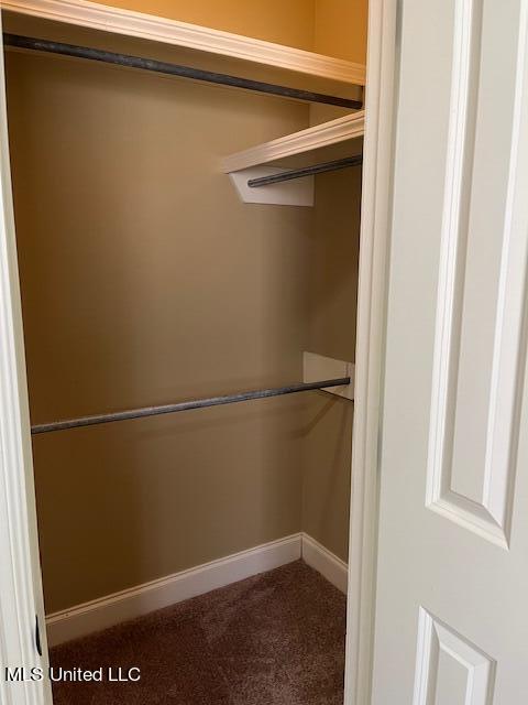 574 Turtle Lane Brandon, MS 39047 - Photo 23 of 27 Primary closet2