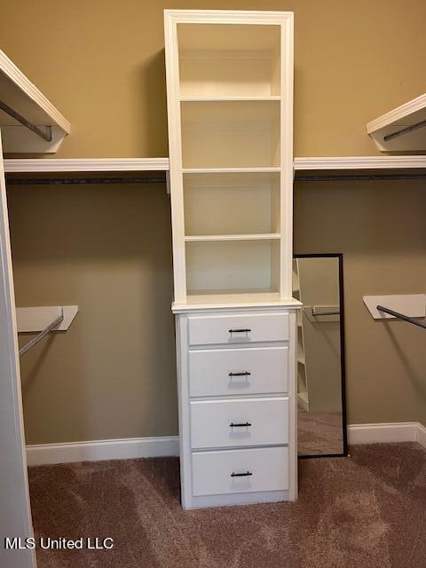 574 Turtle Lane Brandon, MS 39047 - Photo 24 of 27 Primary closet