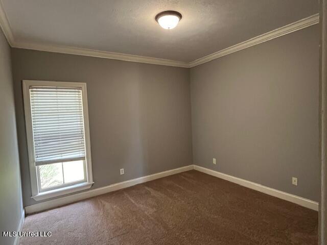 Back bedroom