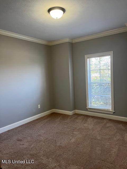 574 Turtle Lane Brandon, MS 39047 - Photo 8 of 27 Front bedroom