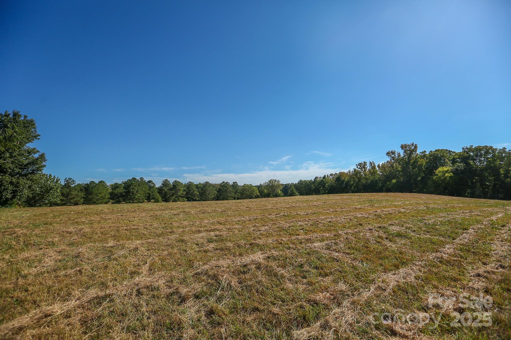 0 Wagoner Road Richfield, NC 28137 - Photo 3 of 13