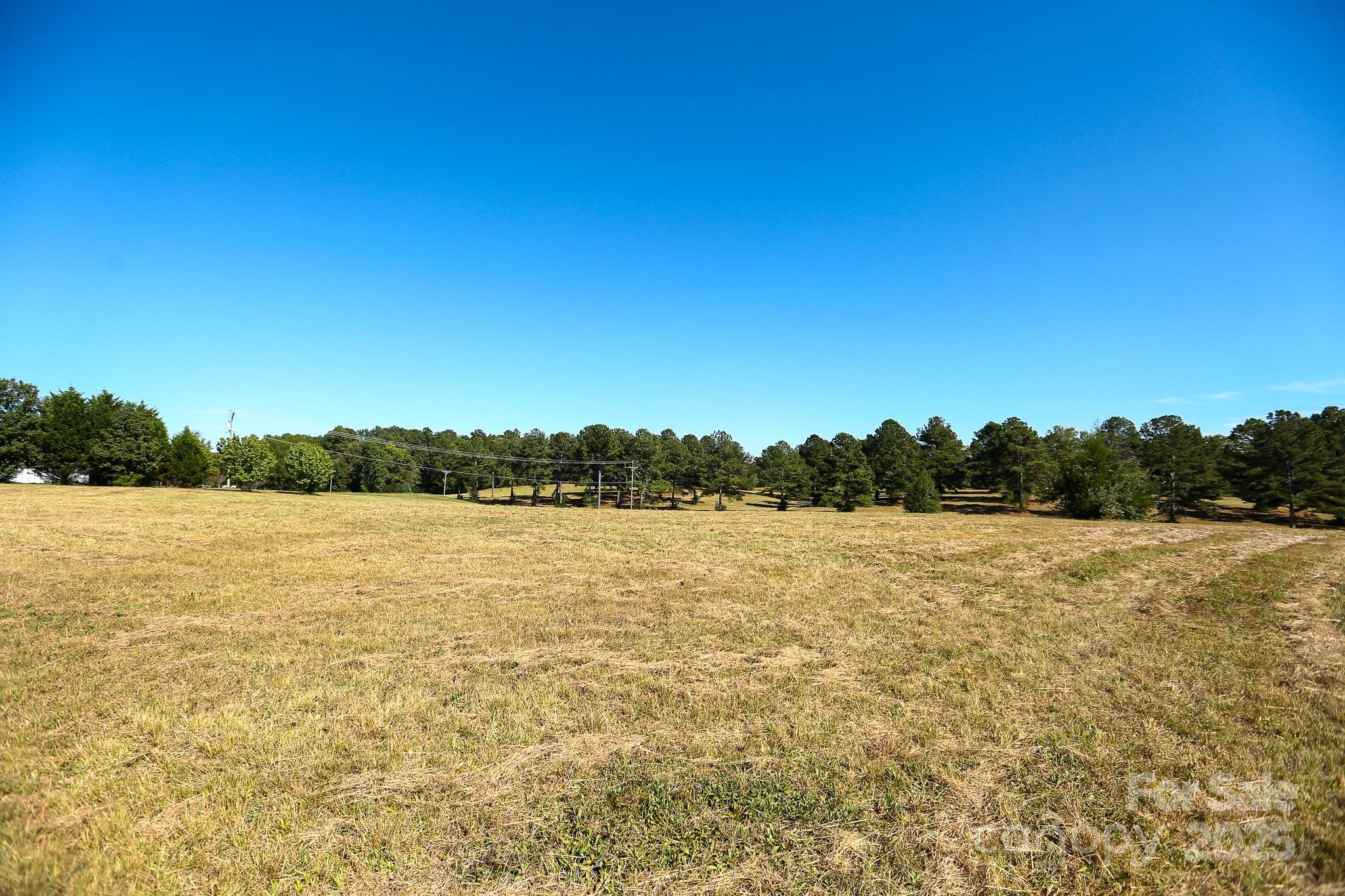 0 Wagoner Road Richfield, NC 28137 - Photo 4 of 13