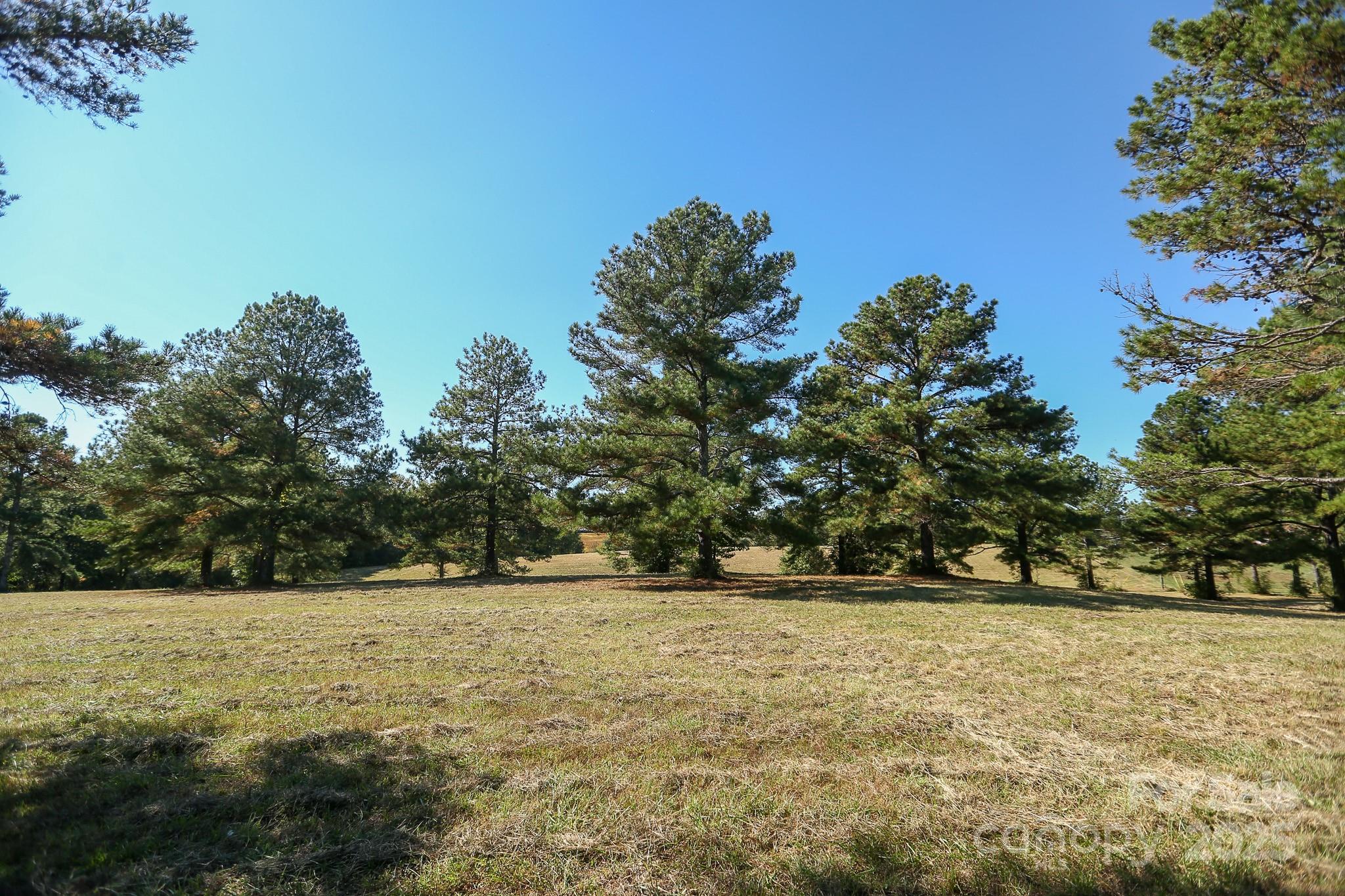 0 Wagoner Road Richfield, NC 28137 - Photo 10 of 13