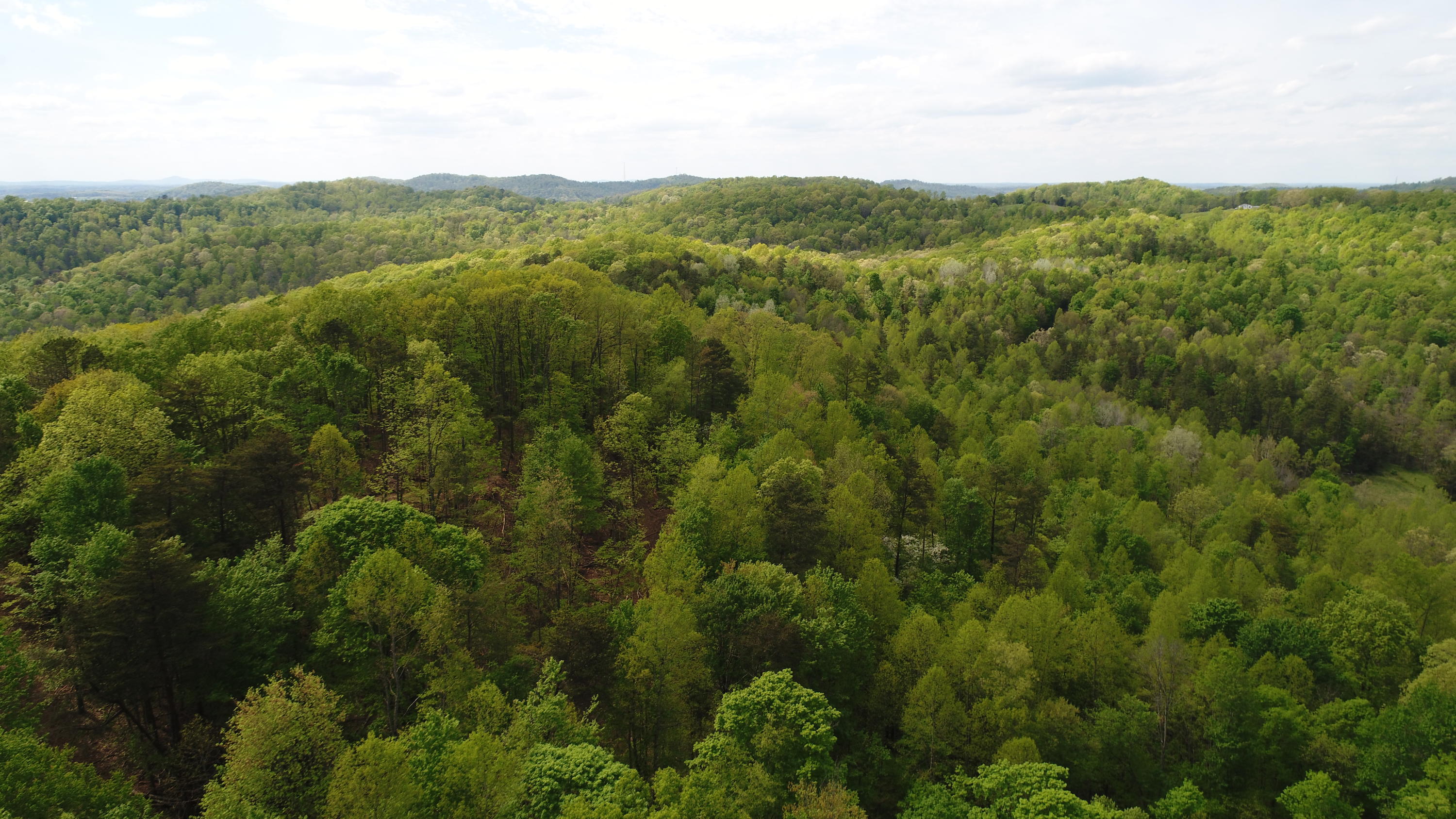 1234 Pine Ridge Road Somerset, KY 42501 - Photo 8 of 34 DJI_0316