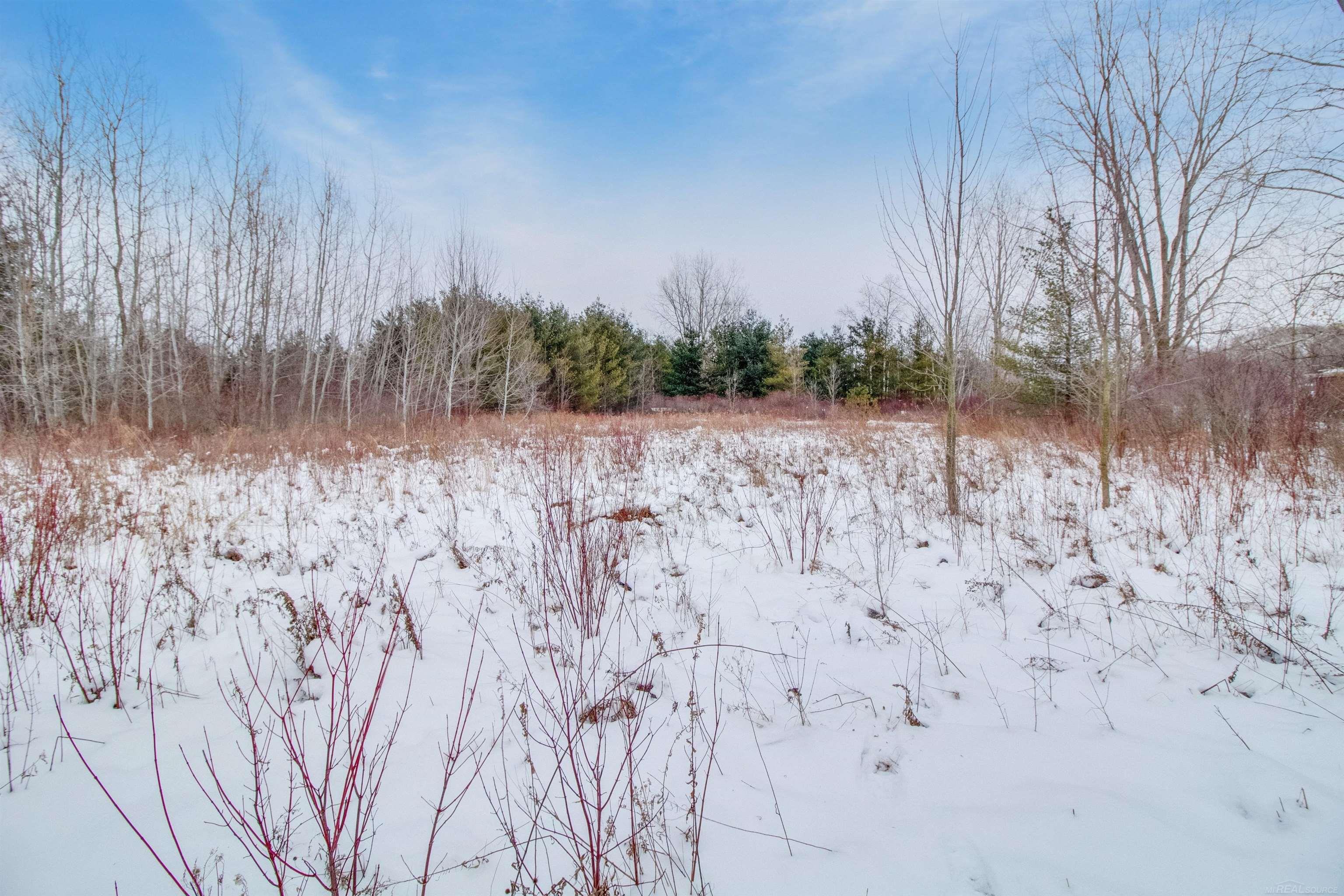 1693 Wales Center Road Goodells, MI 48027 - Photo 7 of 10 Gallery Image 7