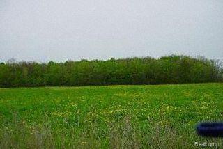 2 Gibbons Road Jeddo, MI 48032 - Photo 1 of 1 Property Photo