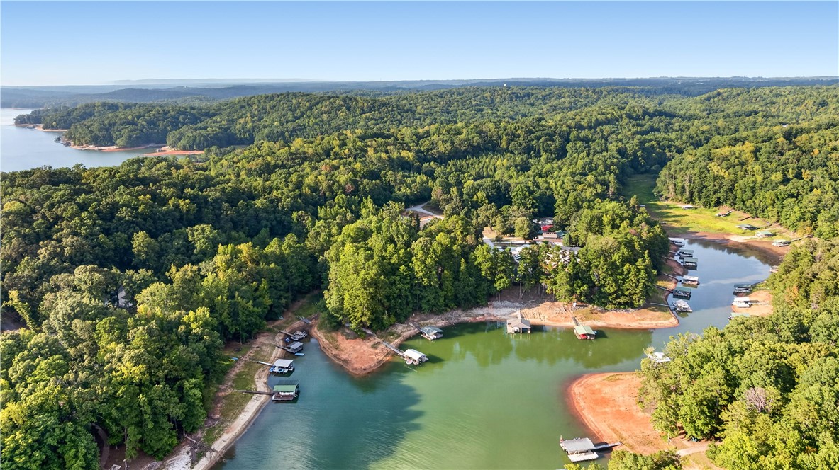 160 Ricks Road Fair Play, SC 29643 - Photo 41 of 42 Gallery Image 41