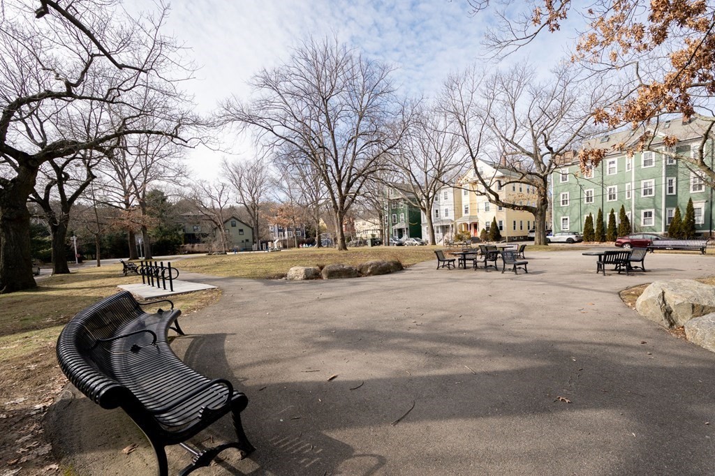 6 Edwin Street Brookline, MA 02445 - Photo 33 of 33 a view of park with bench and trees