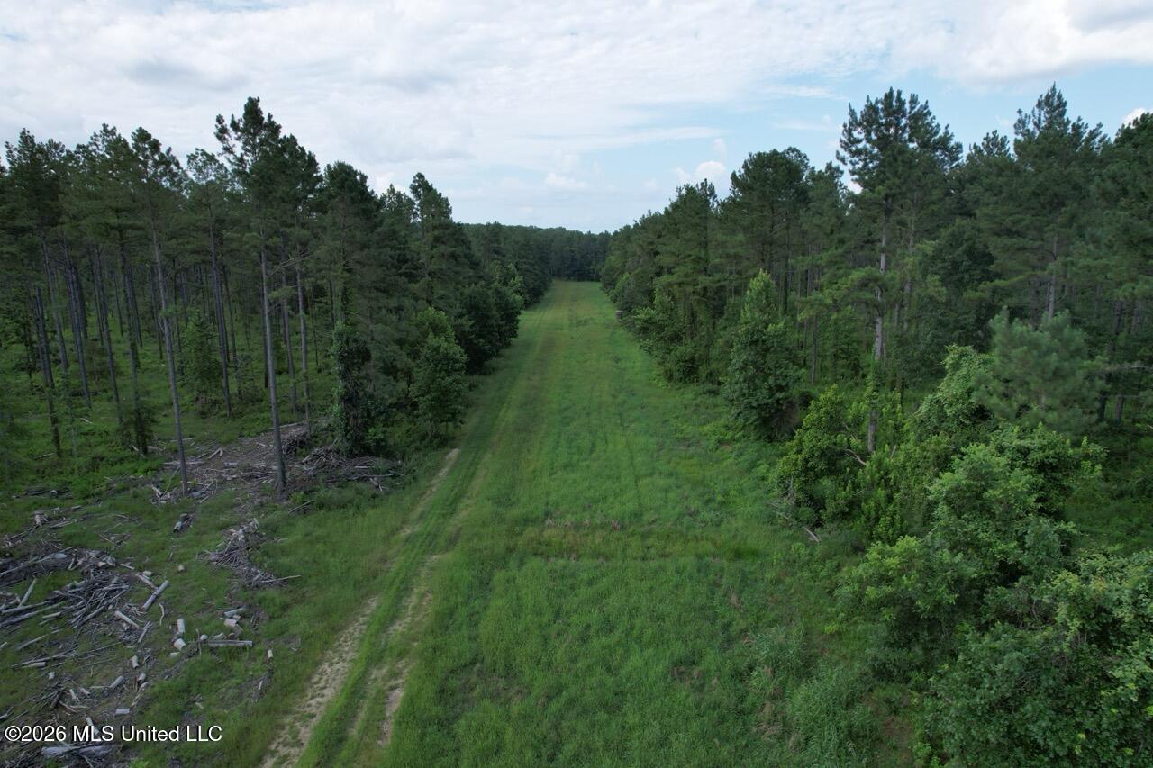 Woodlawn Road Woodville, MS 39669 - Photo 7 of 47 DJI_0264 Large