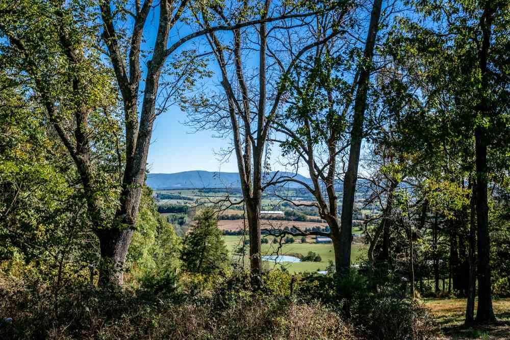 6306 Wengers Mill Road Linville, VA 22834 - Photo 47 of 50 Gallery Image 47