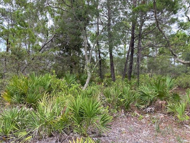 88 Fernway Road Alligator Point, FL 32346 - Photo 1 of 3 Gallery Image 1