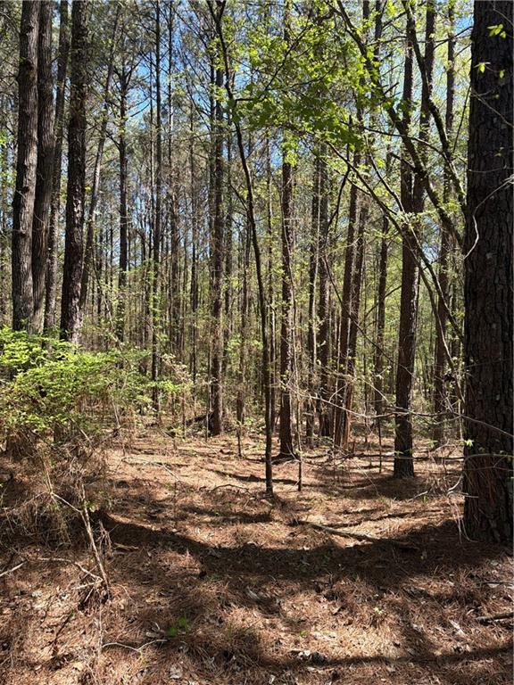 N/a Old Union Point Road Greensboro, GA 30642 - Photo 2 of 5 a view of yard