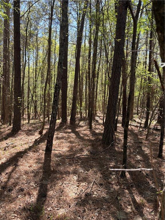 N/a Old Union Point Road Greensboro, GA 30642 - Photo 3 of 5 a view of outdoor space with lots of trees