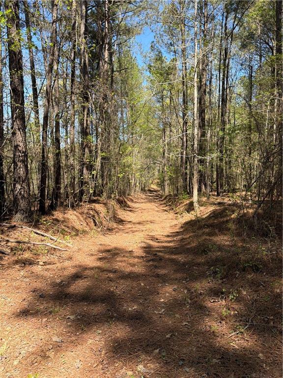 N/a Old Union Point Road Greensboro, GA 30642 - Photo 4 of 5 a view of outdoor space with trees