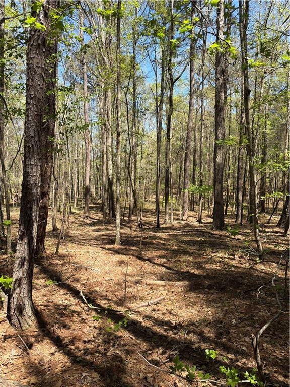 N/a Old Union Point Road Greensboro, GA 30642 - Photo 5 of 5 a view of a house with large trees