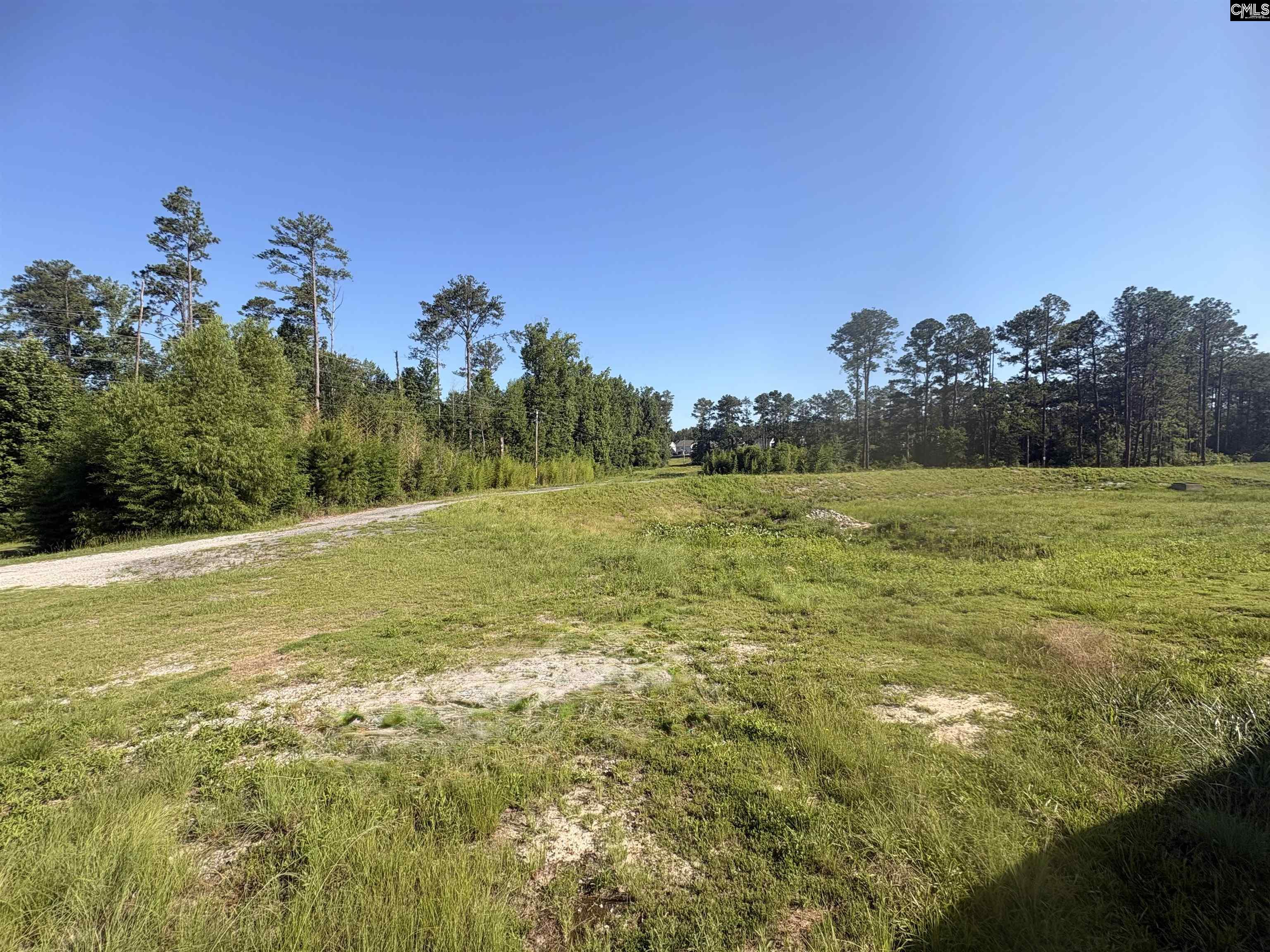 309 Oristo Ridge Way West Columbia, SC 29170 - Photo 28 of 29