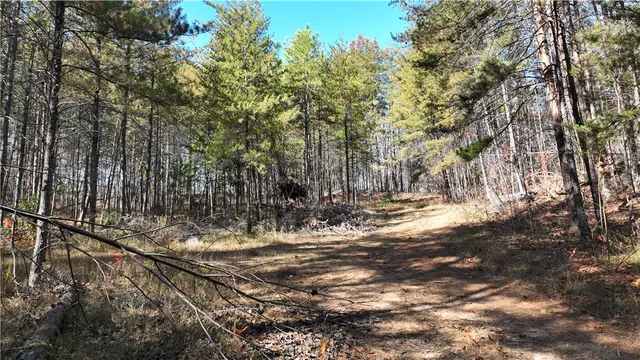 $180,000 | 0 Shallow Ford Road, Salem, SC 29676