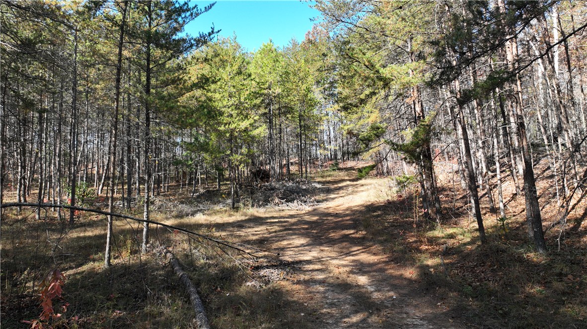 0 Shallow Ford Road Salem, SC 29676 - Photo 14 of 14
