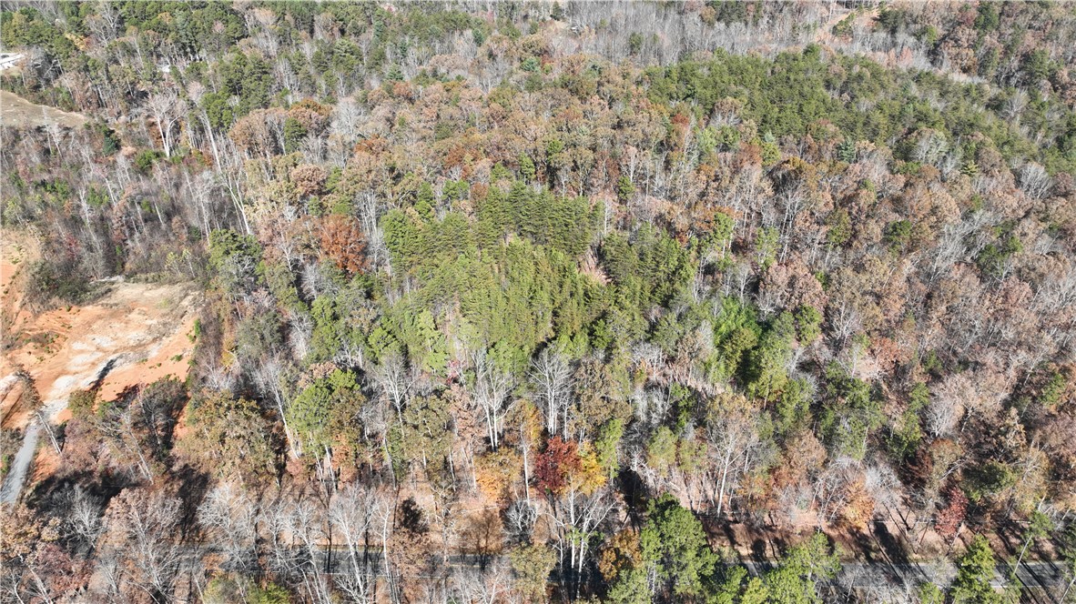 0 Shallow Ford Road Salem, SC 29676 - Photo 3 of 14