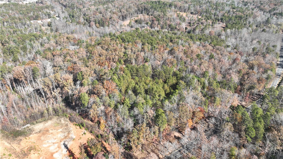 0 Shallow Ford Road Salem, SC 29676 - Photo 4 of 14