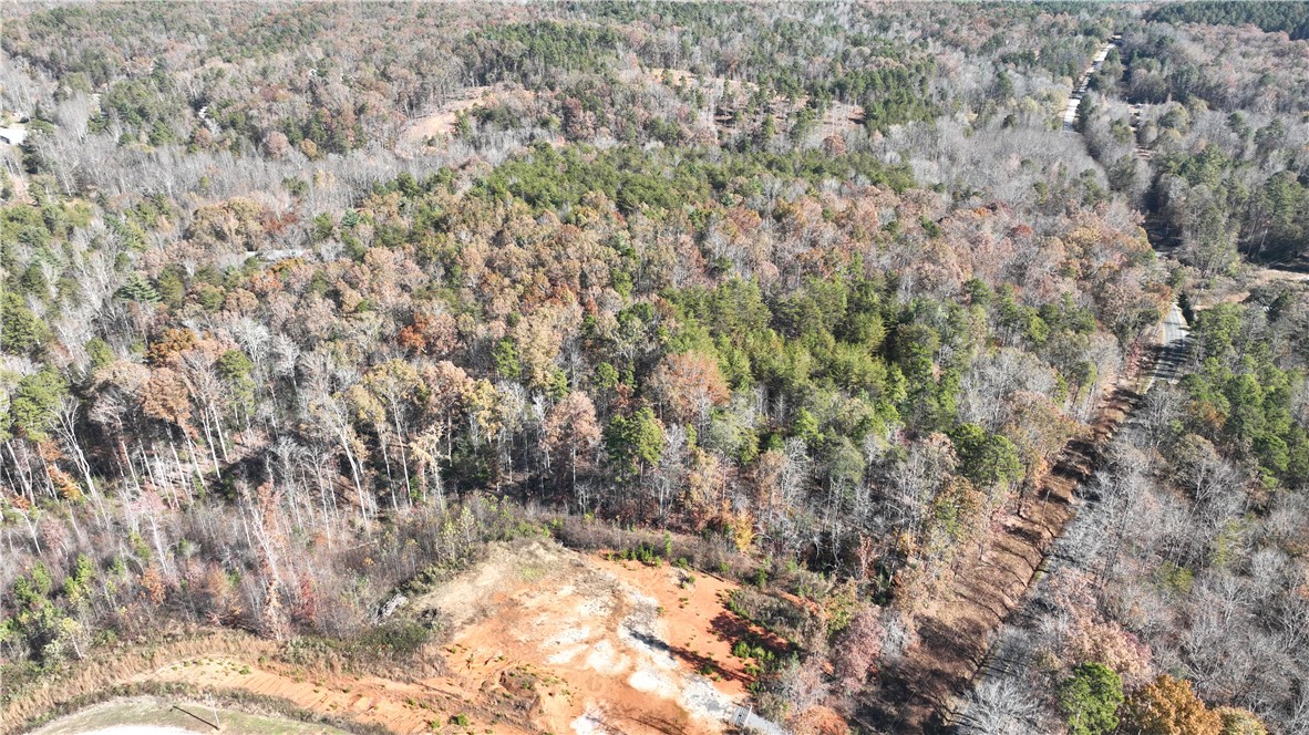 0 Shallow Ford Road Salem, SC 29676 - Photo 5 of 14